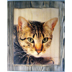 dřevěné fotografie - kočka